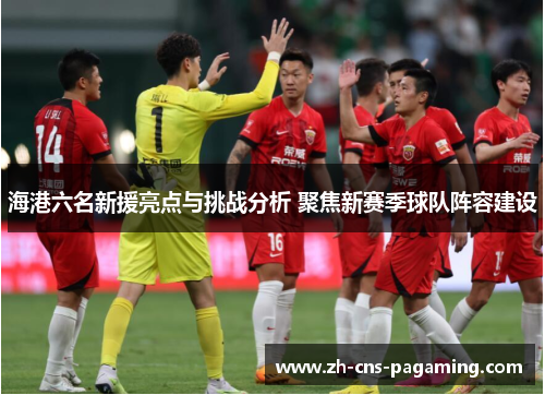 海港六名新援亮点与挑战分析 聚焦新赛季球队阵容建设 海港六名新援亮点与挑战分析 聚焦新赛季球队阵容建设