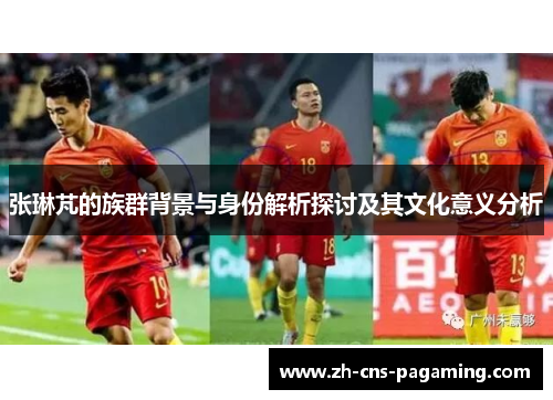 张琳芃的族群背景与身份解析探讨及其文化意义分析 张琳芃的族群背景与身份解析探讨及其文化意义分析