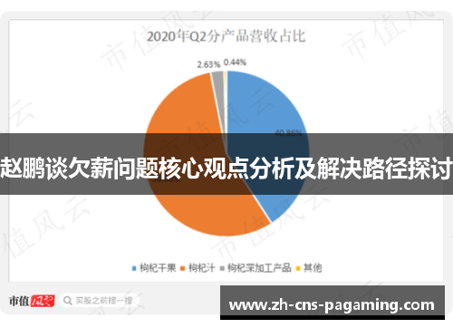 赵鹏谈欠薪问题核心观点分析及解决路径探讨 赵鹏谈欠薪问题核心观点分析及解决路径探讨