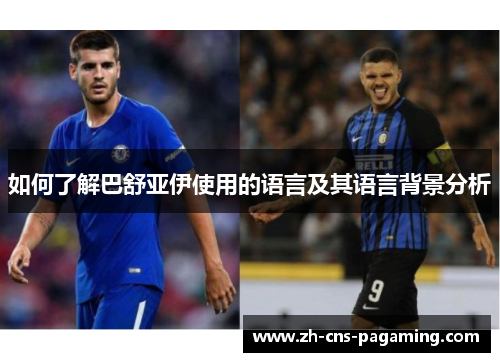 如何了解巴舒亚伊使用的语言及其语言背景分析