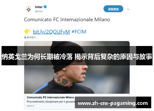 纳英戈兰为何长期被冷落 揭示背后复杂的原因与故事 纳英戈兰为何长期被冷落 揭示背后复杂的原因与故事