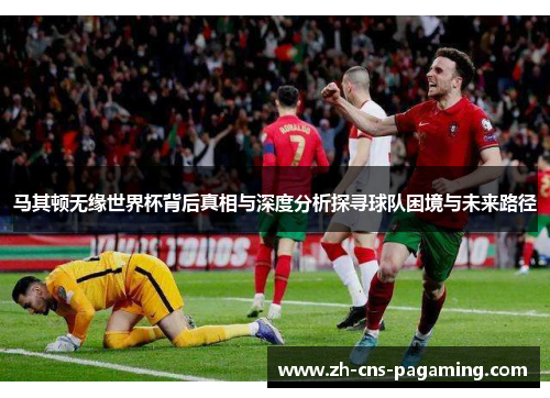 马其顿无缘世界杯背后真相与深度分析探寻球队困境与未来路径