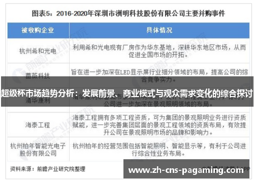 超级杯市场趋势分析：发展前景、商业模式与观众需求变化的综合探讨