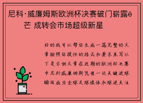 尼科·威廉姆斯欧洲杯决赛破门崭露锋芒 成转会市场超级新星